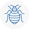 Bed Bug Extermination In Conisbrough
